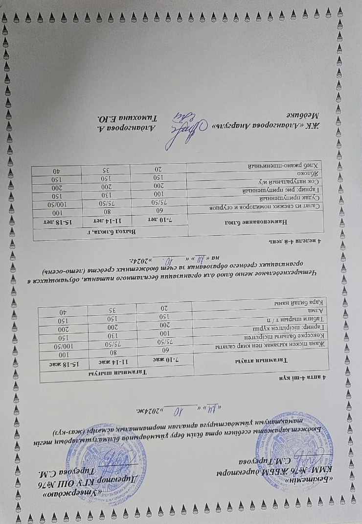 1-4 сынып, 5-11 сынып ХӘОТ мәзірі. Жаз-күз 2024 жыл. / Меню 1-4 кл, 5-11 кл СУСН. Лето-осень 2024.