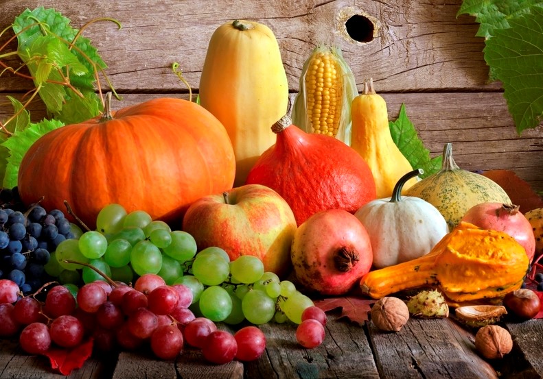 Қараша айының өнімдері / Продукты ноября